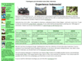 indoexperience.com