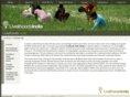livelihoods-india.org