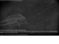 miautosonline.com