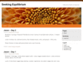 seekingequilibrium.net