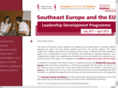 seeyoungleaders.org