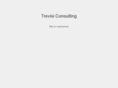 trevisiconsulting.com