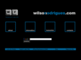 wilsonrodrigues.net