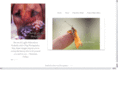 butterflyandadogphotography.com