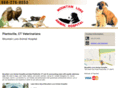 mountainlorevet.net