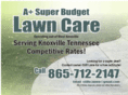 superbudgetlawncare.com