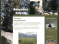 bearadiseretreat.com