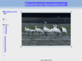 bf-spoonbill.com