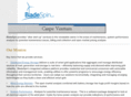 bladespin.com