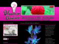bloomingenius.com
