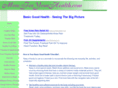 seeingthebigpic.com