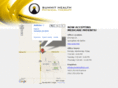 summithealthphysicaltherapy.com