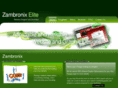 zambronix.com