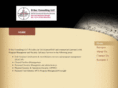 dsec-consulting.com