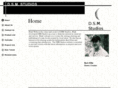 dsmstudios.com