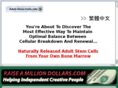 raiseamilliondollars.com