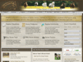 wikihorseworld.info