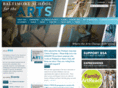 bsfa.org