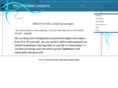 bslcoachingconcepts.com