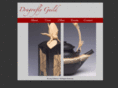 dragonfly-guild.com