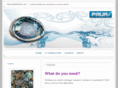 pauainterface.com