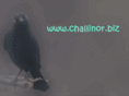 challinor.biz