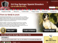 gaengspringerspanielbreeders.com