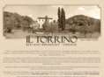 il-torrino.it