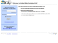 ubs-icap.org