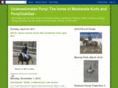 underestimatedpony.com