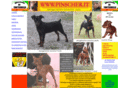 pinscher.it