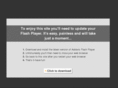 rapidrootermarketing.com