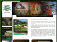 huronoaksgolfacademy.com