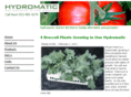 hydromatic.us
