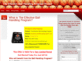 theeffectiveballhandlingprogramreview.com