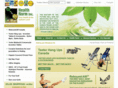 healthnorm.com