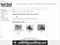 hottbid.com