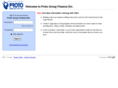proto-gfd.com