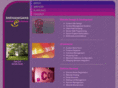 webshenanigans.com