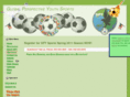 globalperspectiveyouthsoccer.com