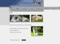 akita-inu.info
