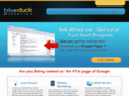 blueduckmarketingonline.com