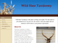 wildharetaxidermy.com