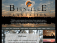 bienville.com