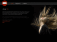 chandlerhair.co.uk