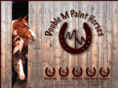 doublempainthorses.com