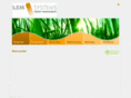 lemsystems.com