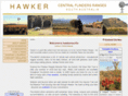 hawkersa.info