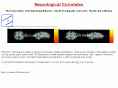 neurologicalcorrelates.com