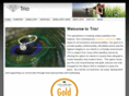 triodiamondandgold.com